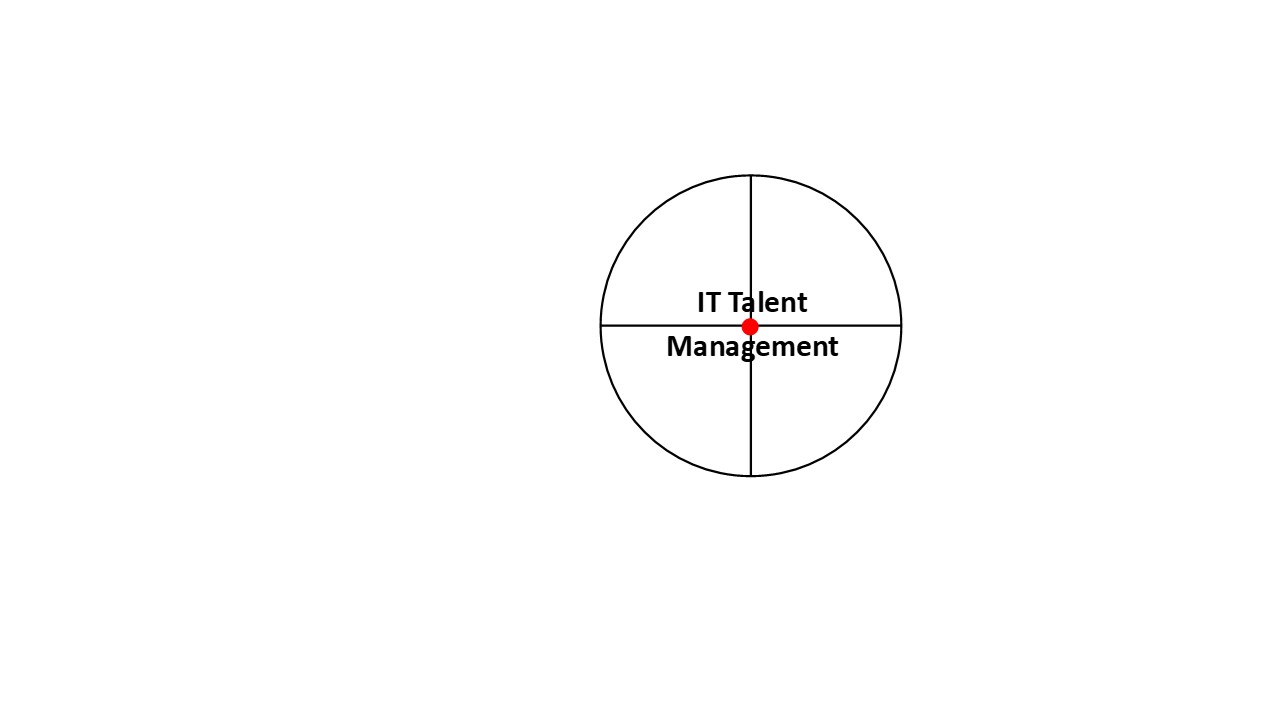 IT Talent Management